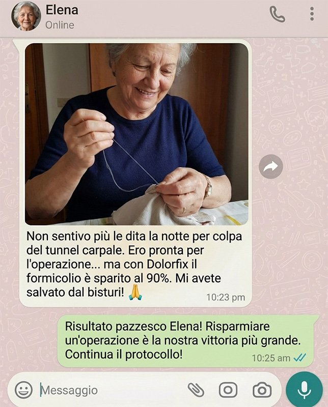 Erba fresca raccolta nel giardino di erbe aromatiche.